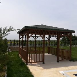 AHŞAP KAMELYA